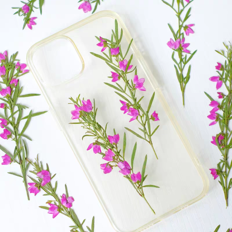 Dried Flower Bookmark - 100 قطعة من زهور أيديا كانثيويدس