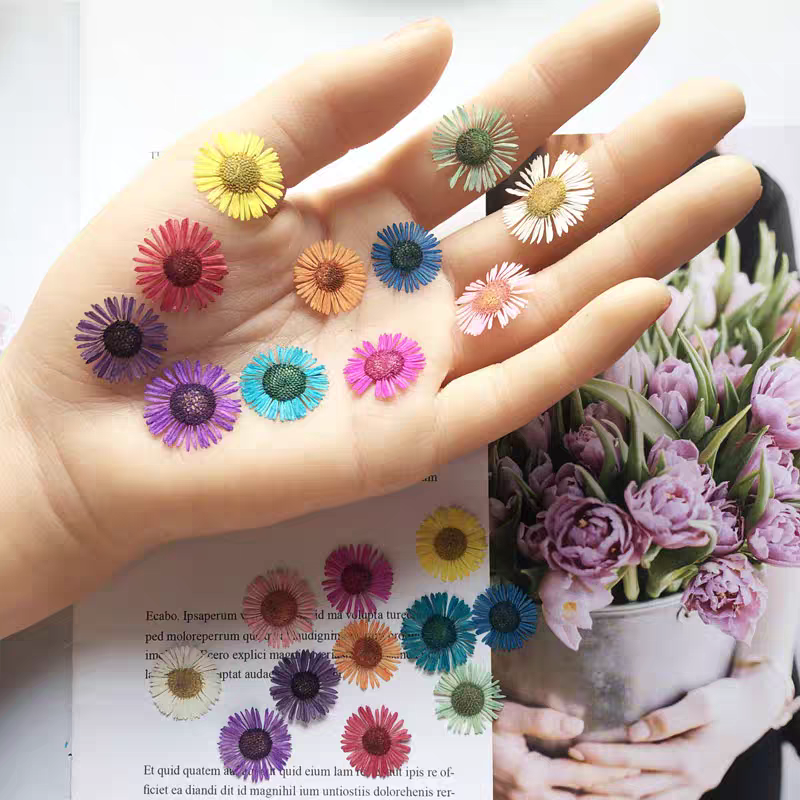 Dried Flower Bookmark - مجموعة واحدة من الزهور المجففة المضغوطة