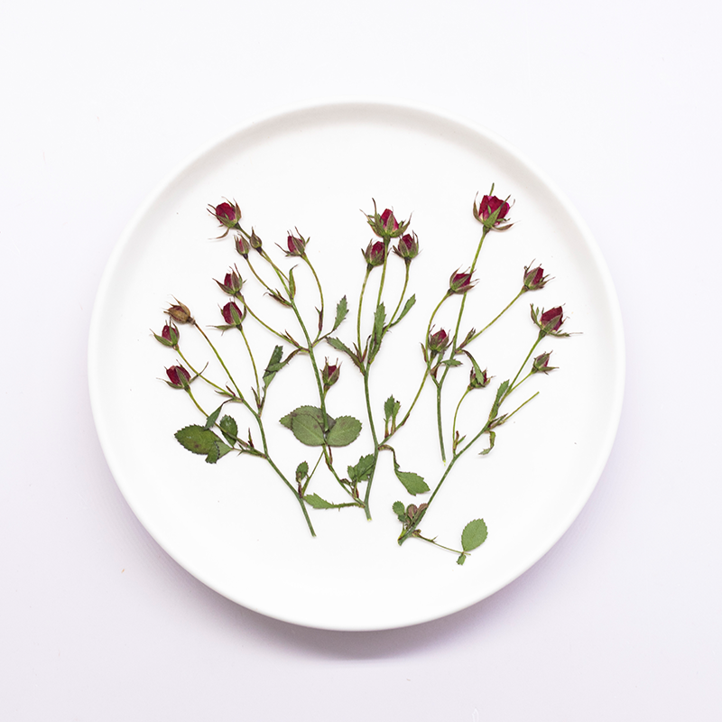Dried Flower Bookmark - 12 قطعة، أغصان ورود مجففة متعددة