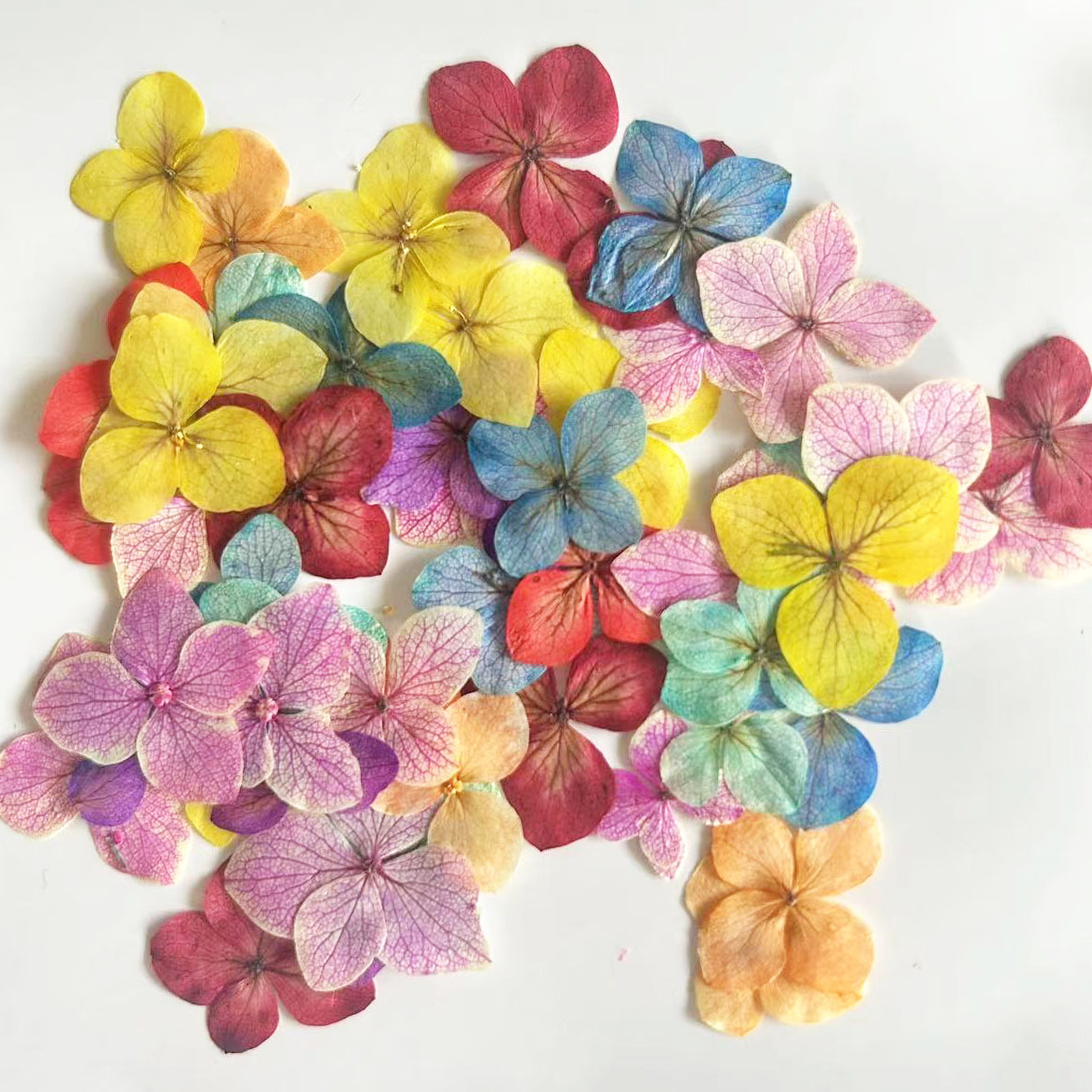 60 قطعة من زهور الهيدرانجيا ال - مراجعة Dried Flower Bookmark وسعره