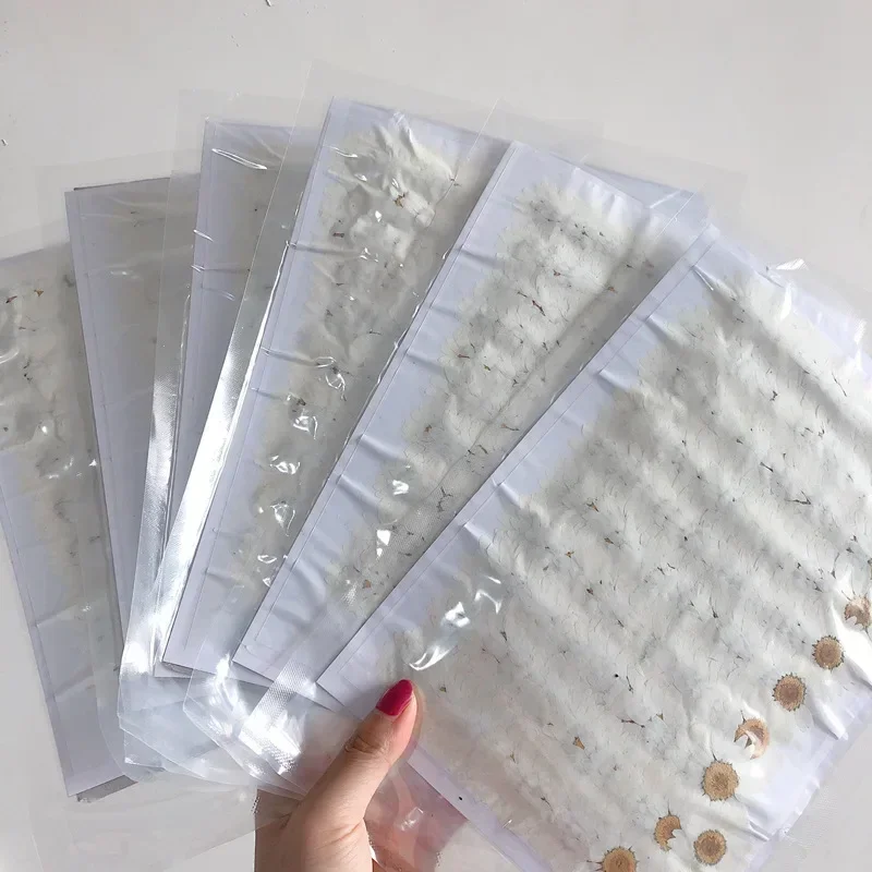 60X ضغط المجففة الطبيعية الأبي - مراجعة Dried Flower Bookmark وسعره