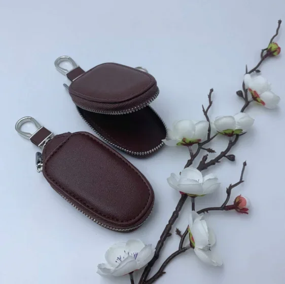 حافظة مفاتيح سيارة من الجلد ال - مراجعة Monogram Keychain Leather وسعره