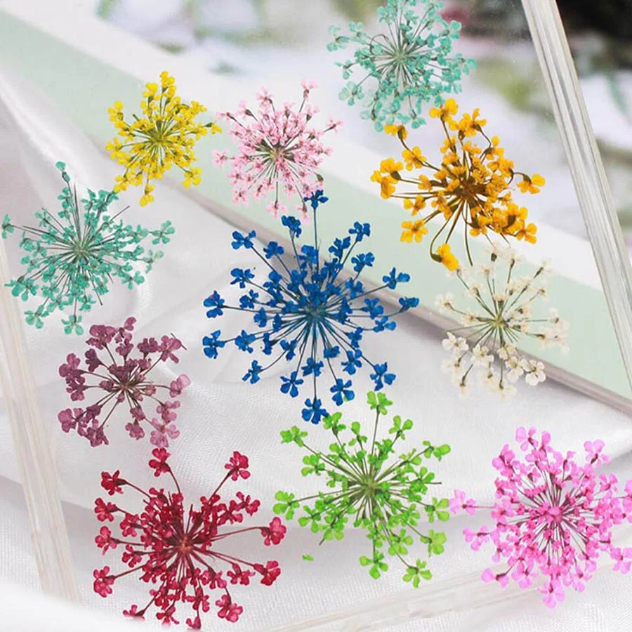 60 قطعة ضغط المجففة 20-25 مللي - مراجعة Dried Flower Bookmark وسعره