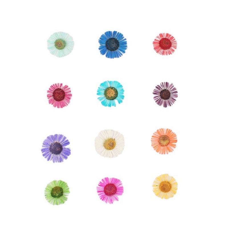 مجموعة واحدة من الزهور المجففة - مراجعة Dried Flower Bookmark وسعره