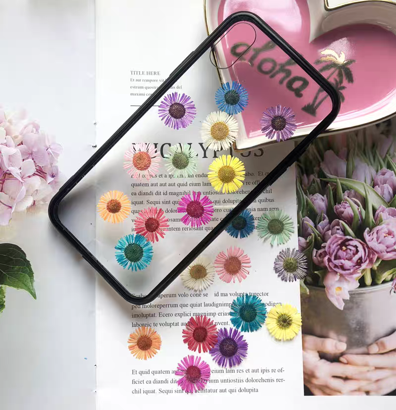 مجموعة واحدة من الزهور المجففة - مراجعة Dried Flower Bookmark وسعره