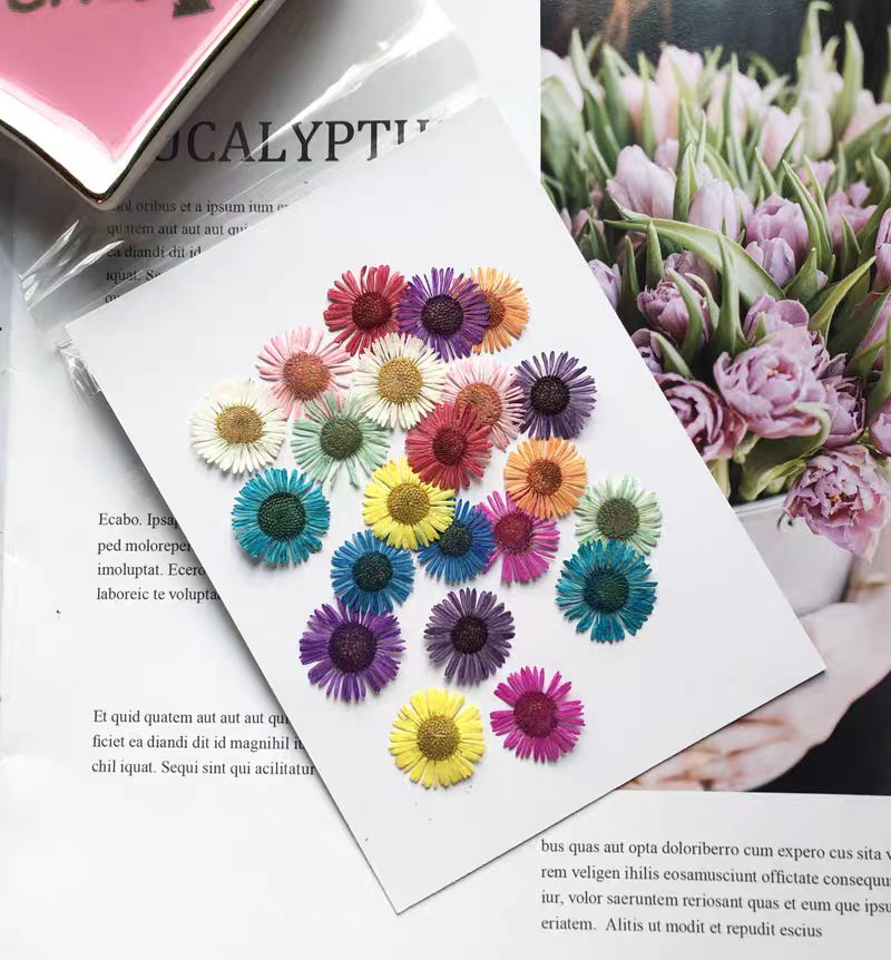 مجموعة واحدة من الزهور المجففة - مراجعة Dried Flower Bookmark وسعره