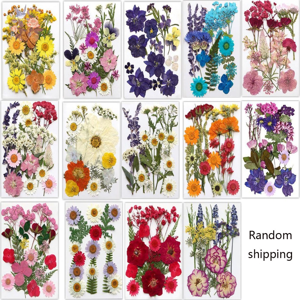 اليدوية ضغط الزهور المجففة الم - مراجعة Dried Flower Bookmark وسعره