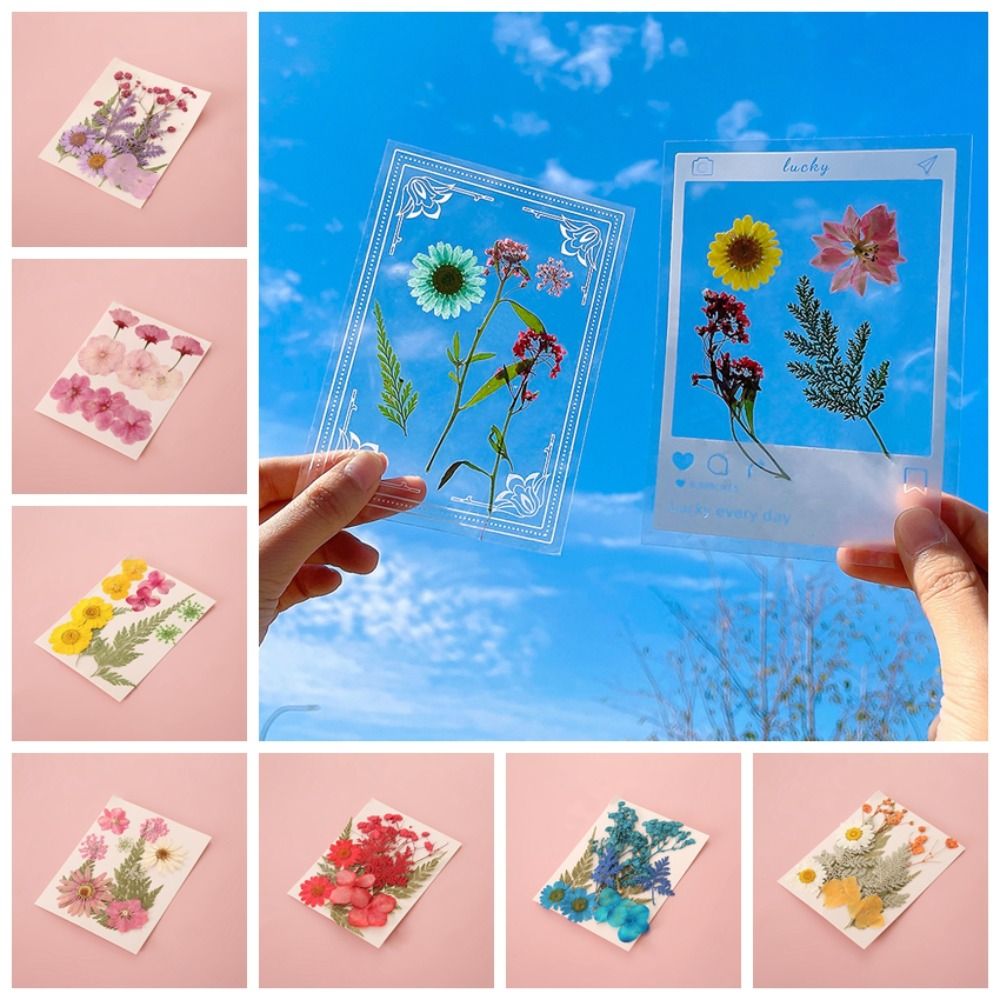 مواد الأعمال اليدوية: فواصل كت - مراجعة Dried Flower Bookmark وسعره