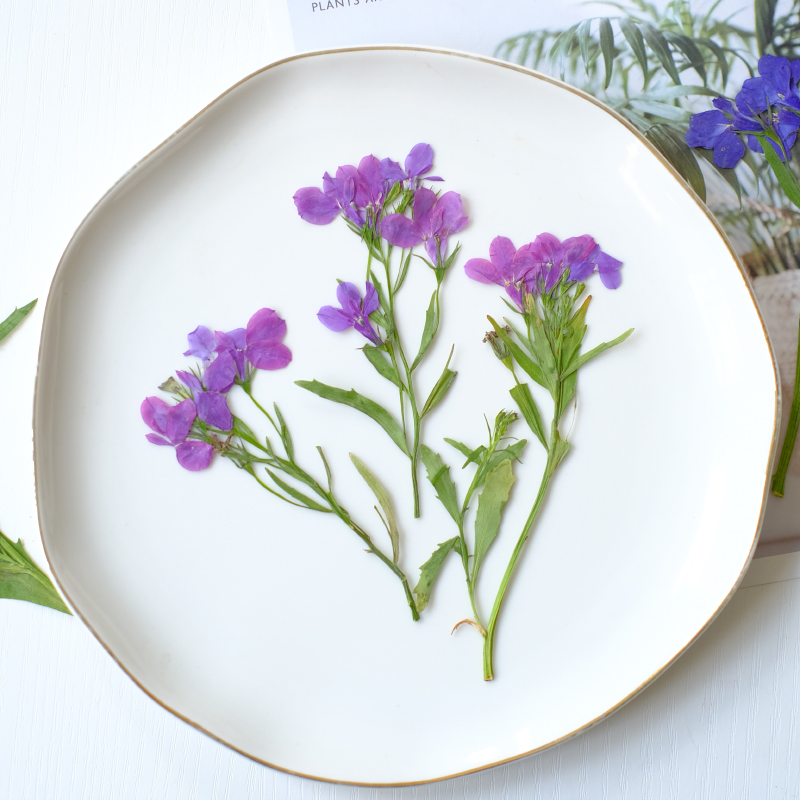 6 قطع/8-13 سم، زهور اللوبيليا  - مراجعة Dried Flower Bookmark وسعره