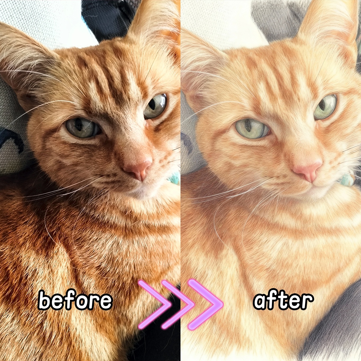 شخصية مخصصة قلم رصاص ملون نمط  - مراجعة Pet Portrait Custom وسعره