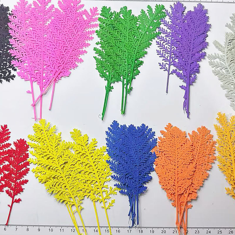 100 قطعة من أوراق الريش الفضية - مراجعة Dried Flower Bookmark وسعره